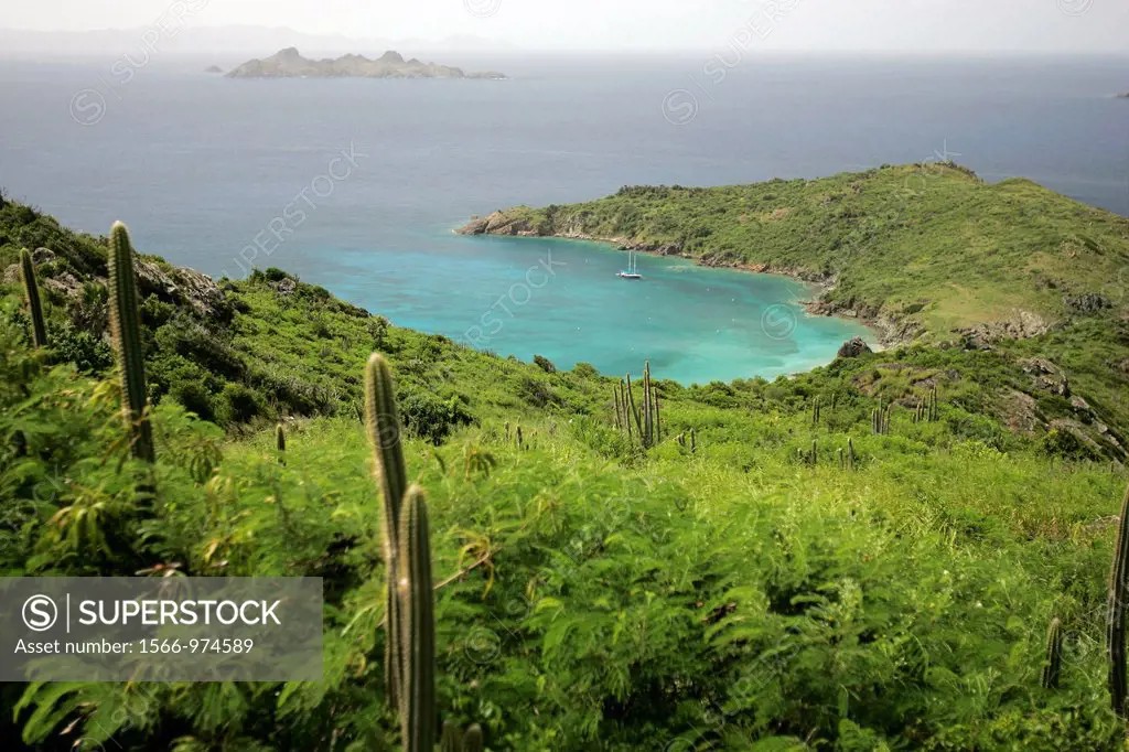 Cruising yacht anchored off Grand Colombier beach St Barts island cactus in foreground