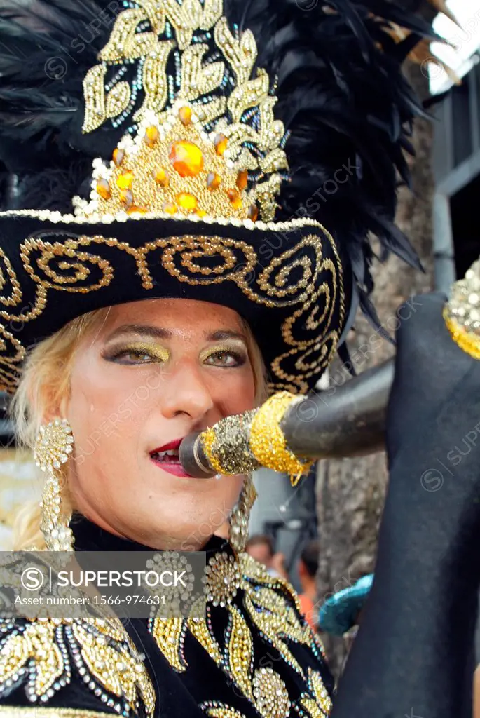 Rio carnival parade Rio de Janeiro Brazil