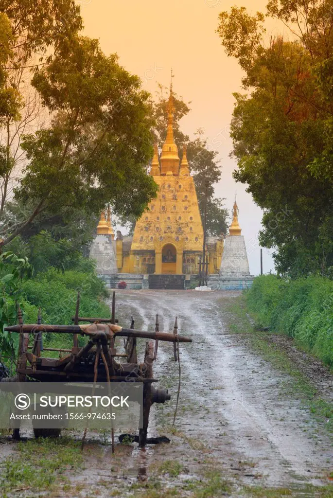 Bullock cart and golden zedi in Burma Myanmar