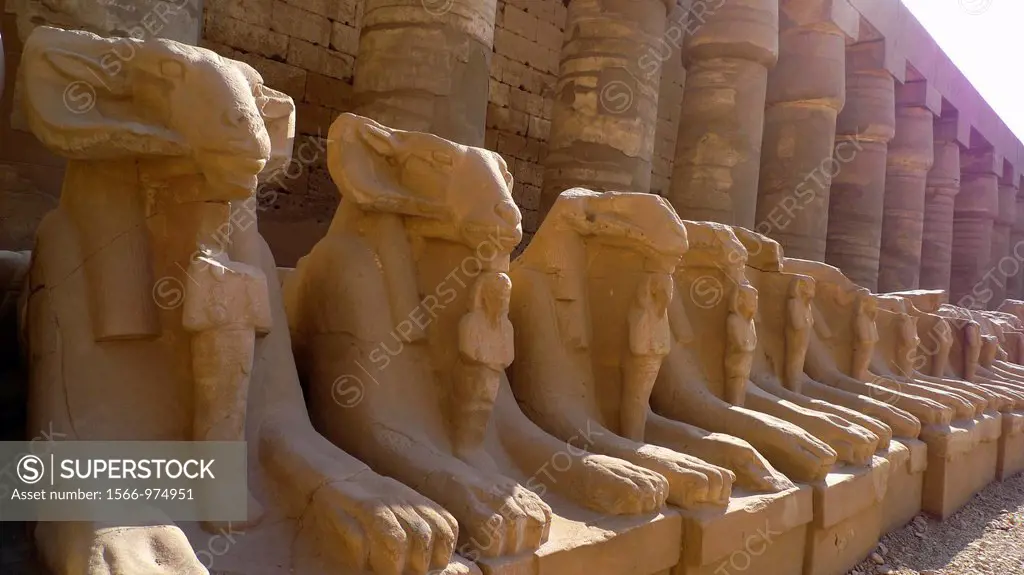 Sphinxes at Karnak Temple Luxor Upper Egypt