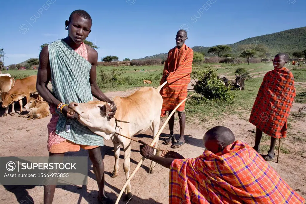 Ngoiroro is a village of 200 inhabitants, all belonging to the Massai Tribe The village lays right in the rift valley, south of Nairobi against the ta...