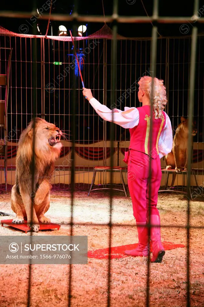 Female lion-tamer during show of Circus Renz in Maastricht