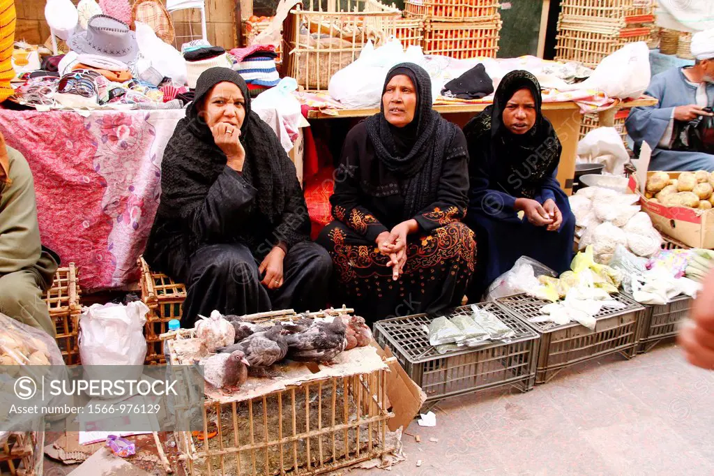 Street market , animal , egyptian