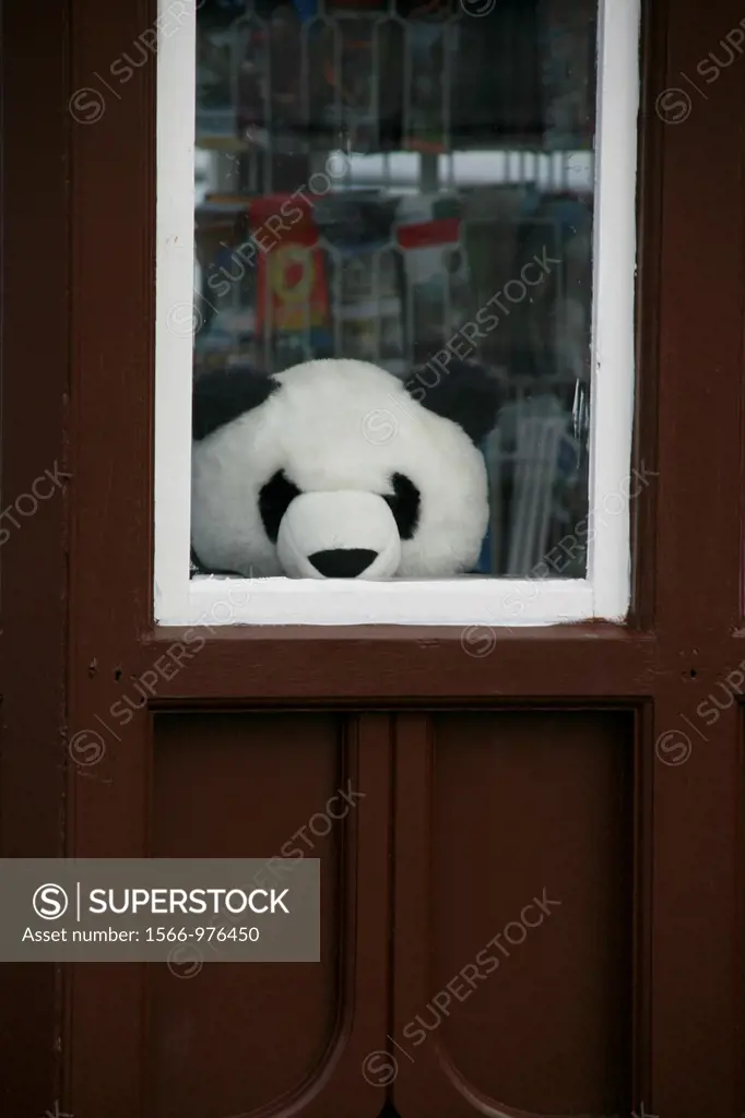 toy panda bear in property window
