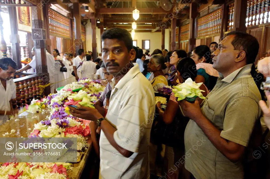 The tooth sanctuary  The Temple of the Tooth Relic Sri Dalada Maligawa, one of the most venerable places for the Buddhist community of Sri Lanka and a...