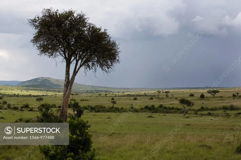 Massai mara is one of the biggest game reserves in kenya It borders Serengeti national park Tanzania Almost all kind of wildlife can be observed The p...