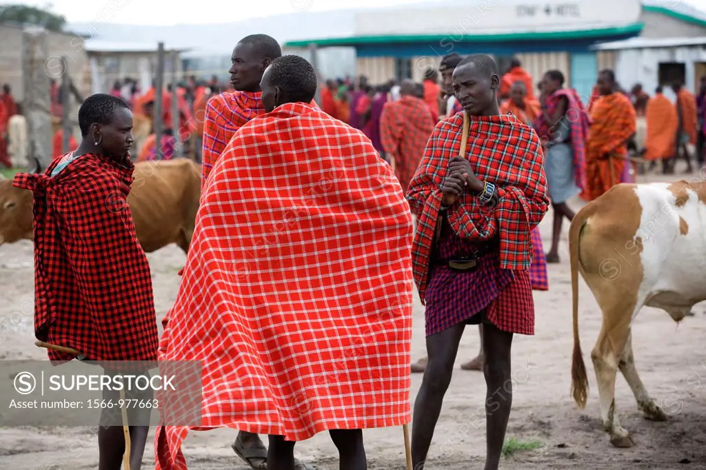Weekly livestock market in the Maasai Mara game reserve  The village is inhabited by Massai who consider their animals as most important in live  Each...