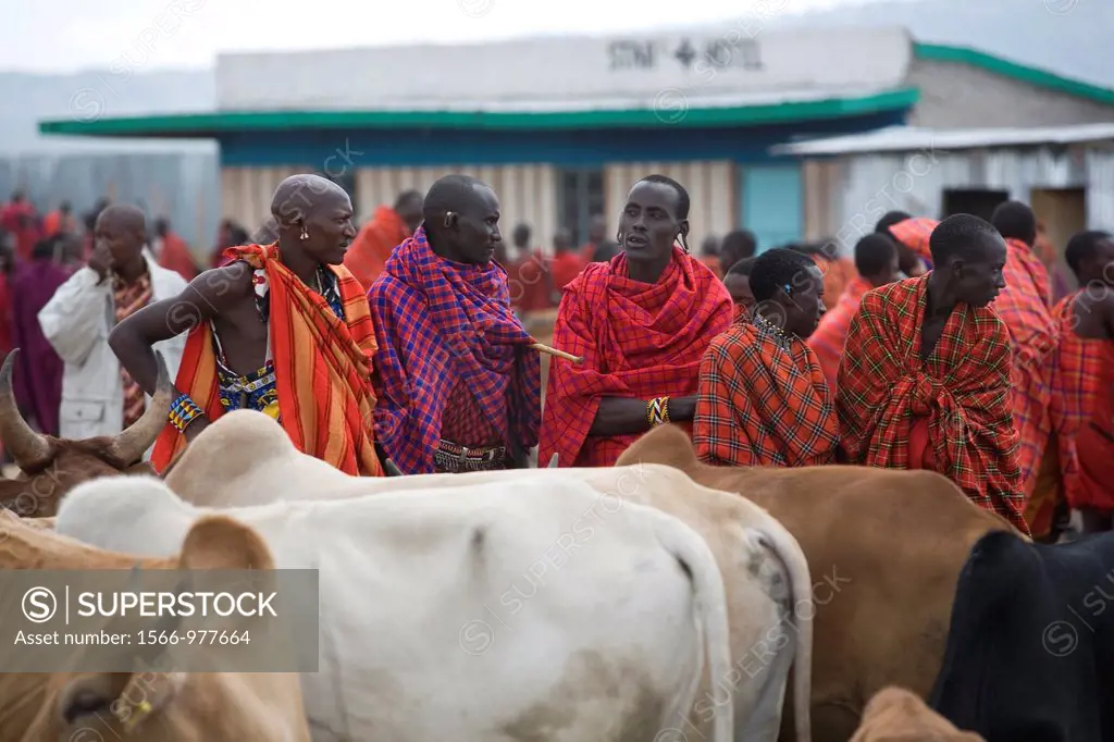 Weekly livestock market in the Maasai Mara game reserve The village is inhabited by Massai who consider their animals as most important in live Each f...