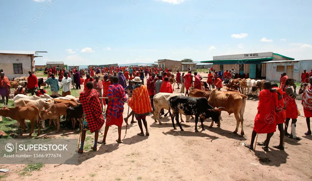 Weekly livestock market in the Maasai Mara game reserve  The village is inhabited by Massai who consider their animals as most important in live  Each...