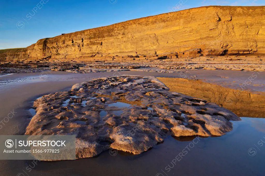 Dunraven bay in the winter sun at Southerndown on the Glamorgan Heritage Coast, Wales