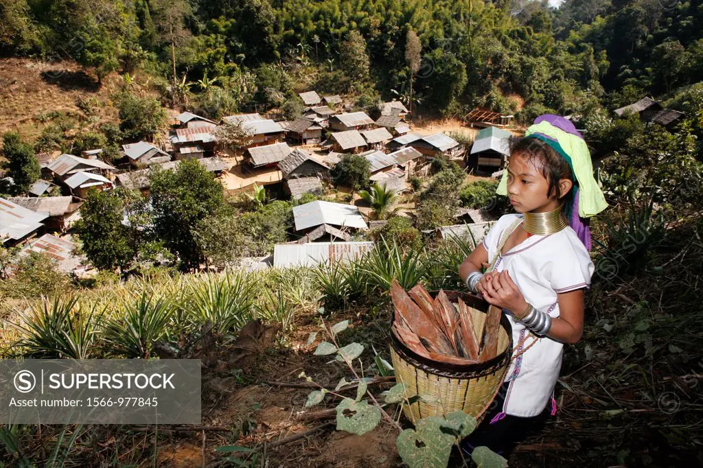 A young Longneck girl above her village, collecting firewood Approximately 300 Burmese refugees in Thailand are members of the indigenous group known ...