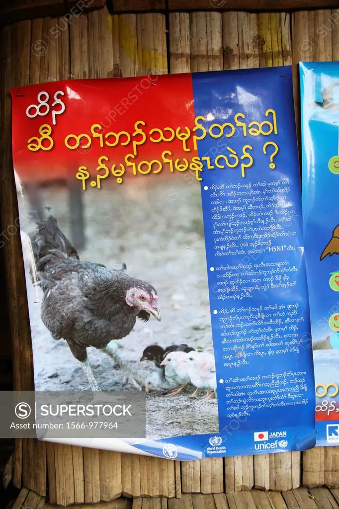 Poster promoting public health regarding livestock Around 130,000 Burmese refugees have settled in Thailand due to opression in their homeland of Myan...