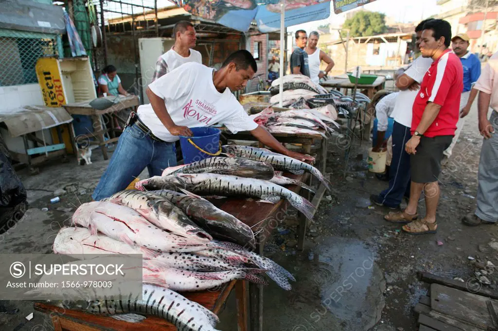 Fishing is the main income of the population near the river Magdalena