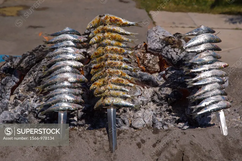 Sardines being grilled in a typical local beach grill Fuengirola city Costa del Sol coast the Malaga region Andalusia Spain Europe