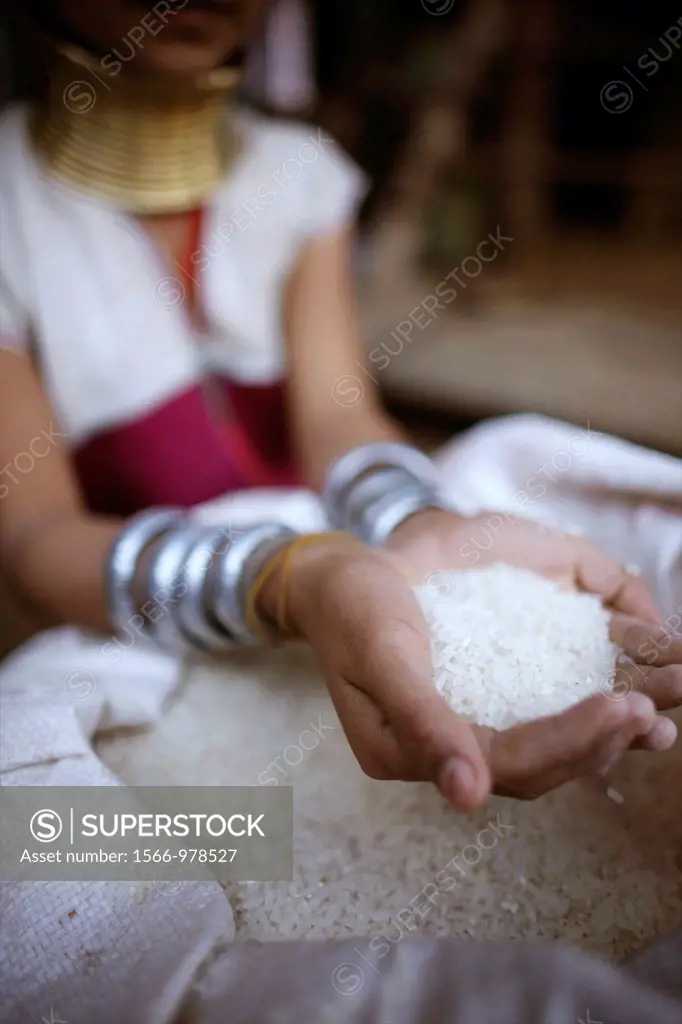 Closeup of rice kernels held by a Longneck girl Approximately 300 Burmese refugees in Thailand are members of the indigenous group known as the Longne...