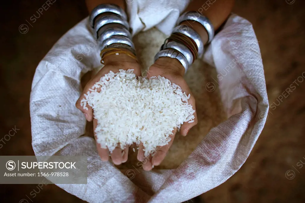 Closeup of a handful of rice held by a Longneck girl Approximately 300 Burmese refugees in Thailand are members of the indigenous group known as the L...