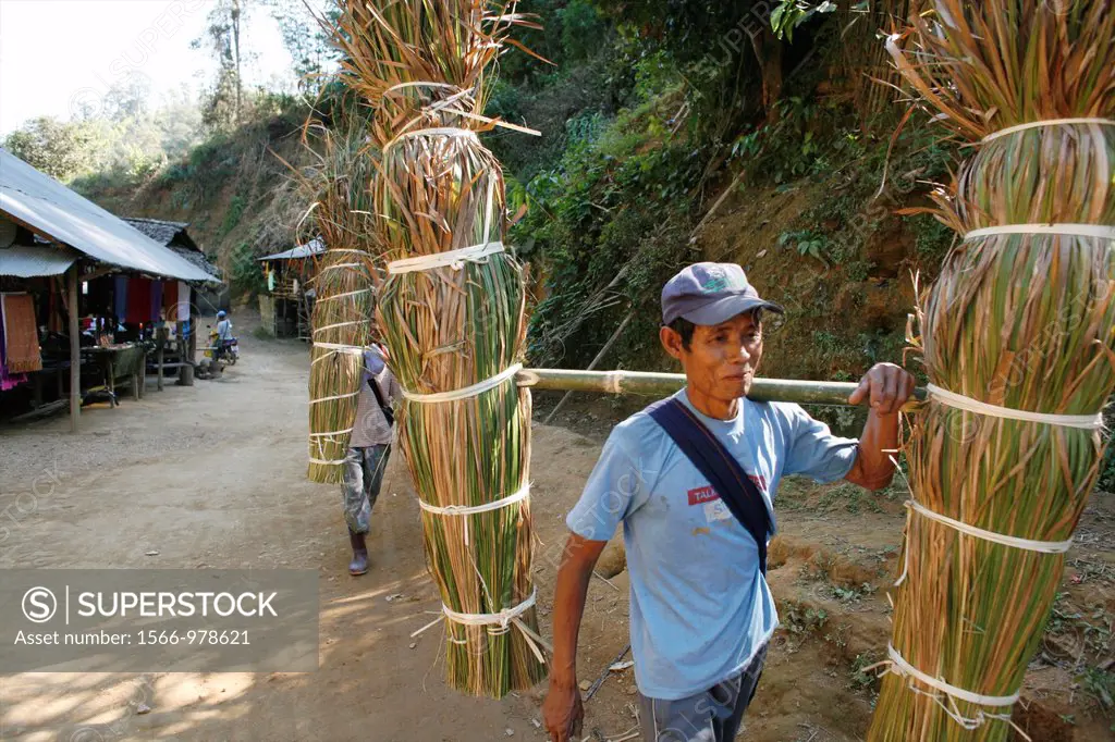 A village man carries reed through the village Approximately 300 Burmese refugees in Thailand are members of the indigenous group known as the Longnec...