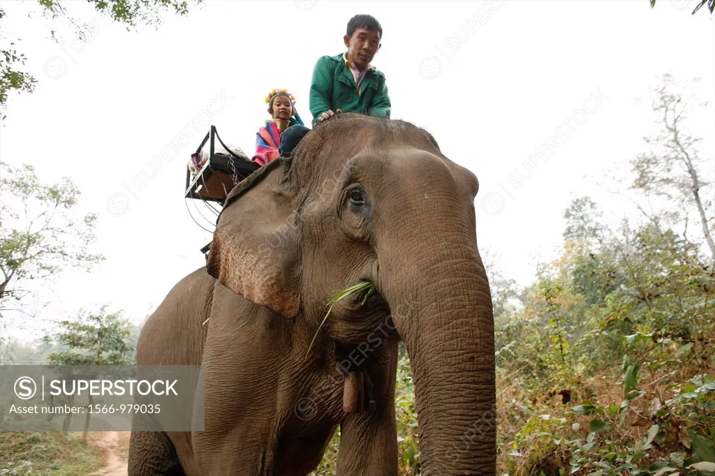 Members of the Longneck group riding an elephant near their village Approximately 300 Burmese refugees in Thailand are members of the indigenous group...