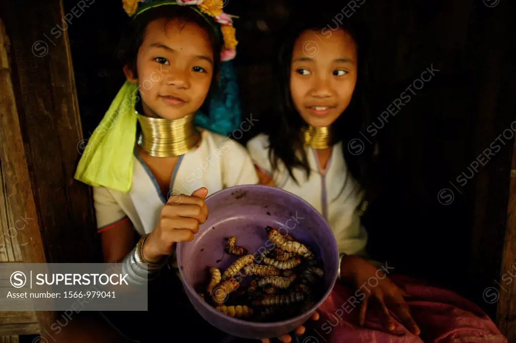 Two Longneck girls display a bowl of worms Approximately 300 Burmese refugees in Thailand are members of the indigenous group known as the Longnecks T...