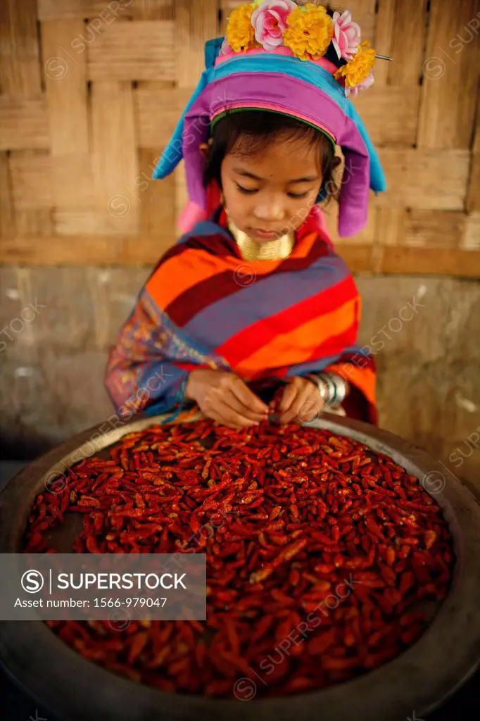 Closeup of a Longneck girl holding a bowl of chillie peppers Approximately 300 Burmese refugees in Thailand are members of the indigenous group known ...