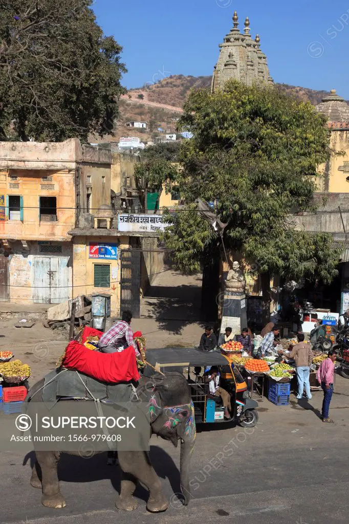 India, Rajasthan, Amber village, street scene, elephant,