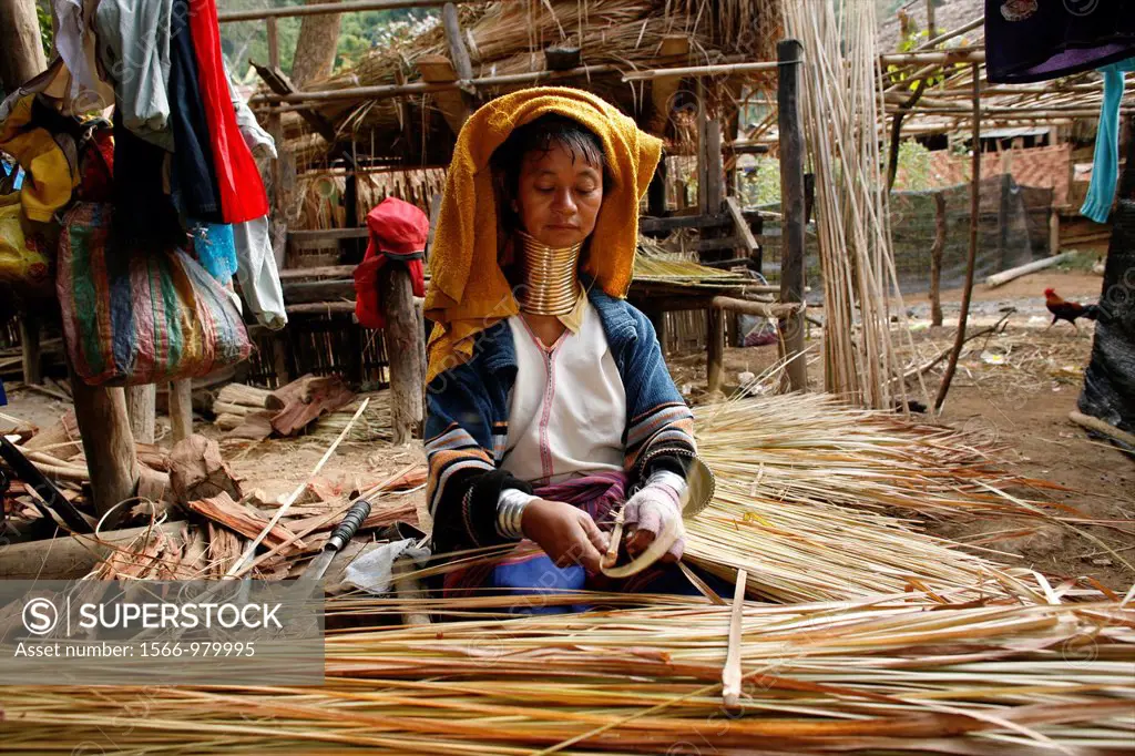 A Longneck woman prepares reeds for weaving or thatch Approximately 300 Burmese refugees in Thailand are members of the indigenous group known as the ...