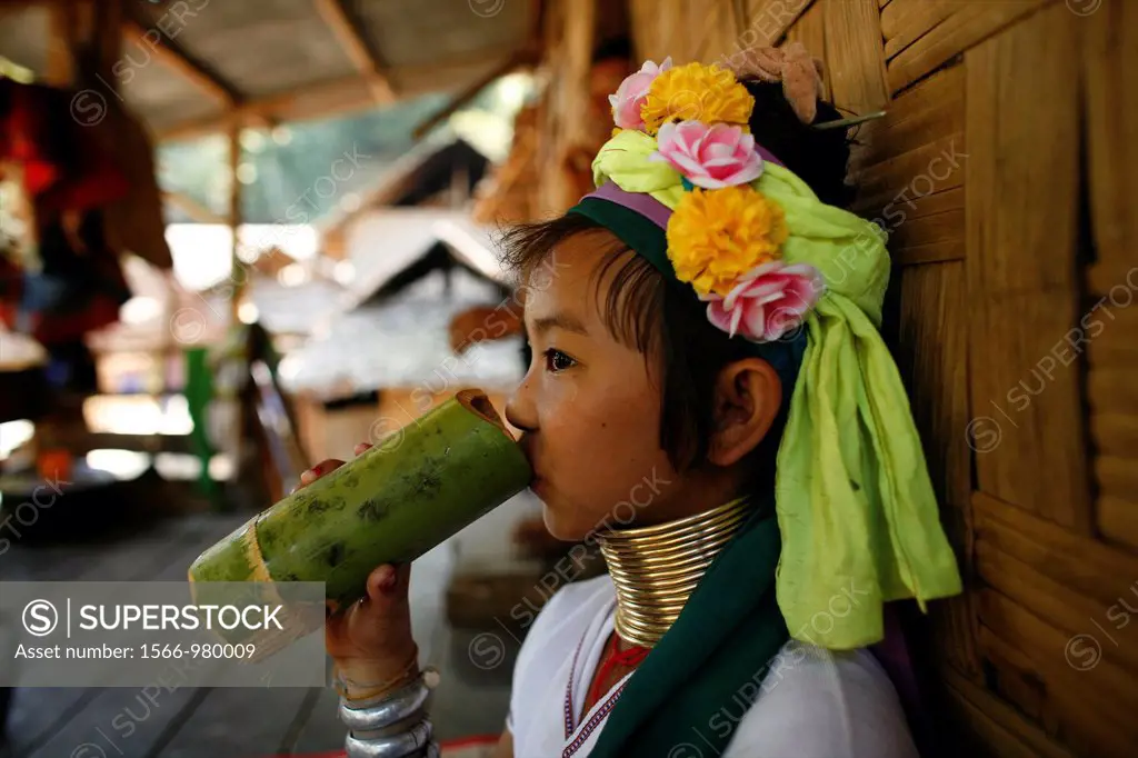 A young Longneck girl drinks from a bamboo cup Approximately 300 Burmese refugees in Thailand are members of the indigenous group known as the Longnec...