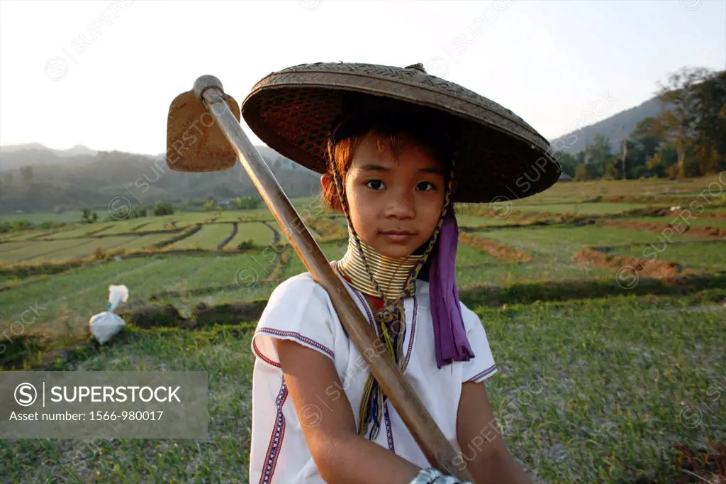 A young Longneck girl with hoe in a rice field Approximately 300 Burmese refugees in Thailand are members of the indigenous group known as the Longnec...