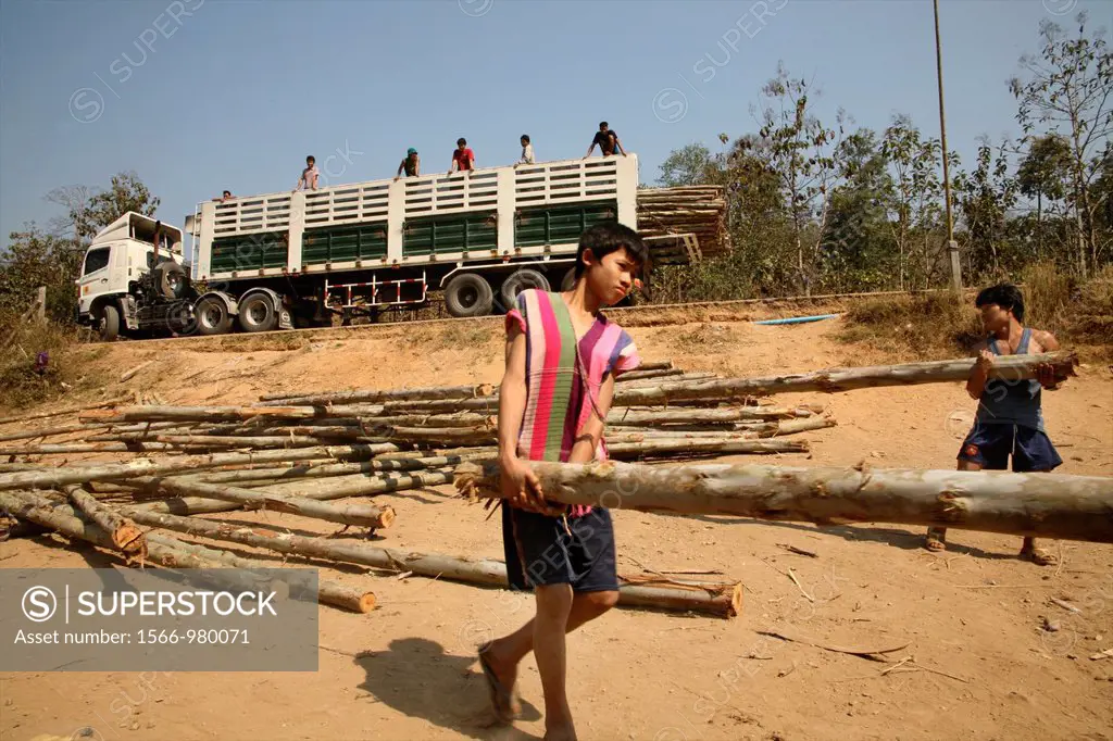 Men and boys carry logs to build more homes Around 130,000 Burmese refugees have settled in Thailand due to opression in their homeland of Myanmar Bur...