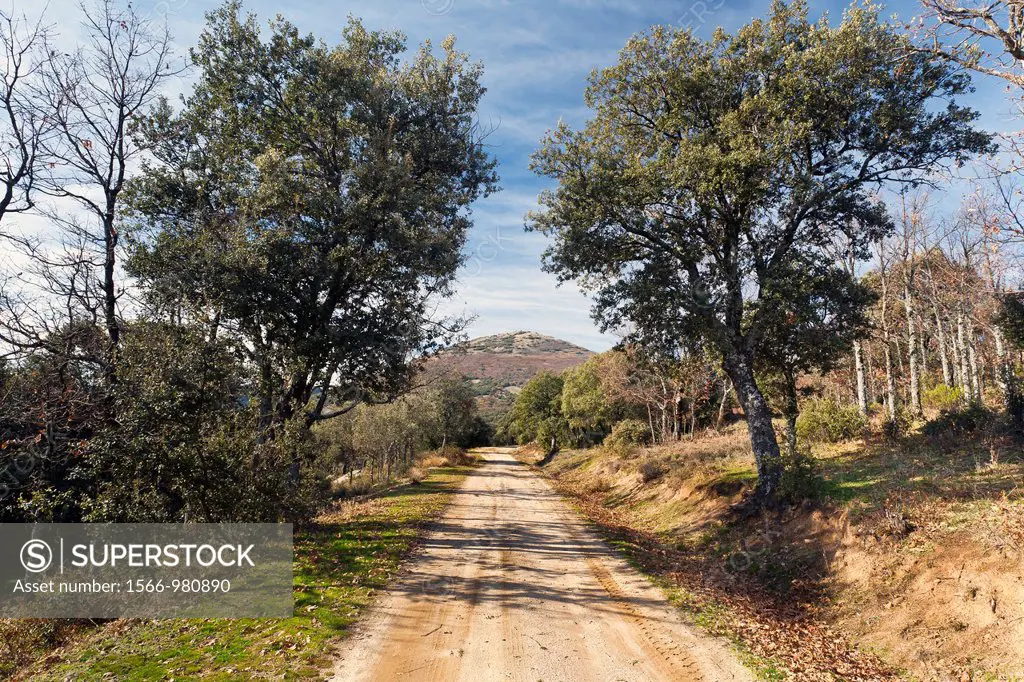 The Molinillo road in the Montes de Toledo  San Pablo de los Montes  Castilla la Mancha  Spain