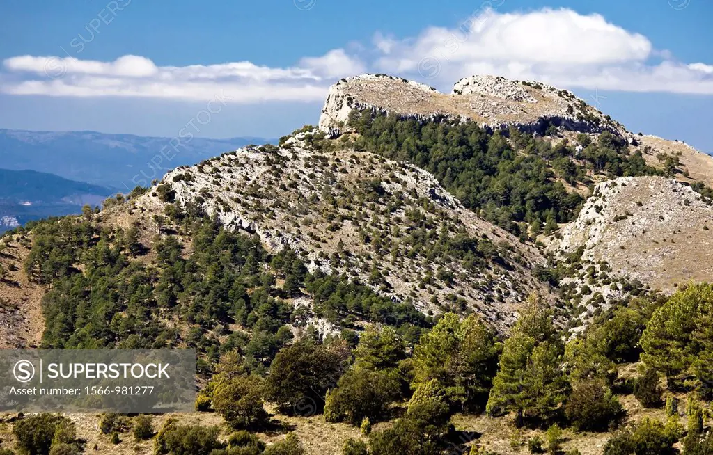 Pico de las Golosillas - Natural Park Penyagolosa - Alcalaten - Castellon province - Comunidad Valenciana - Spain - Europe
