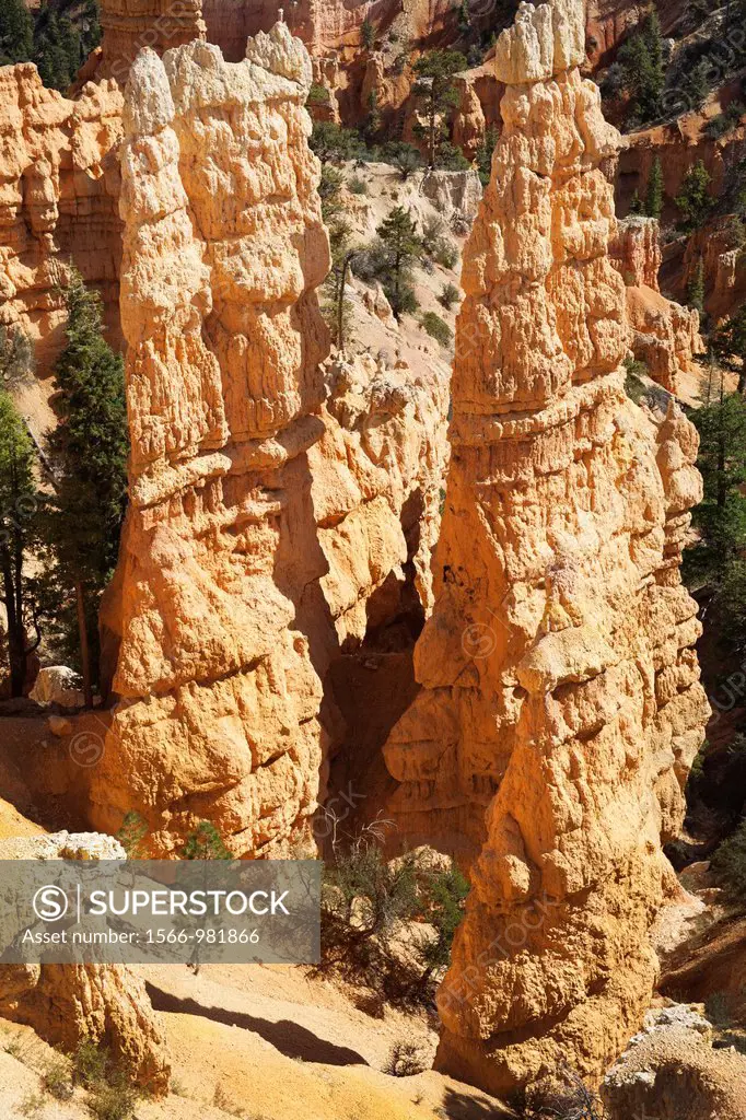 Desert rock formations