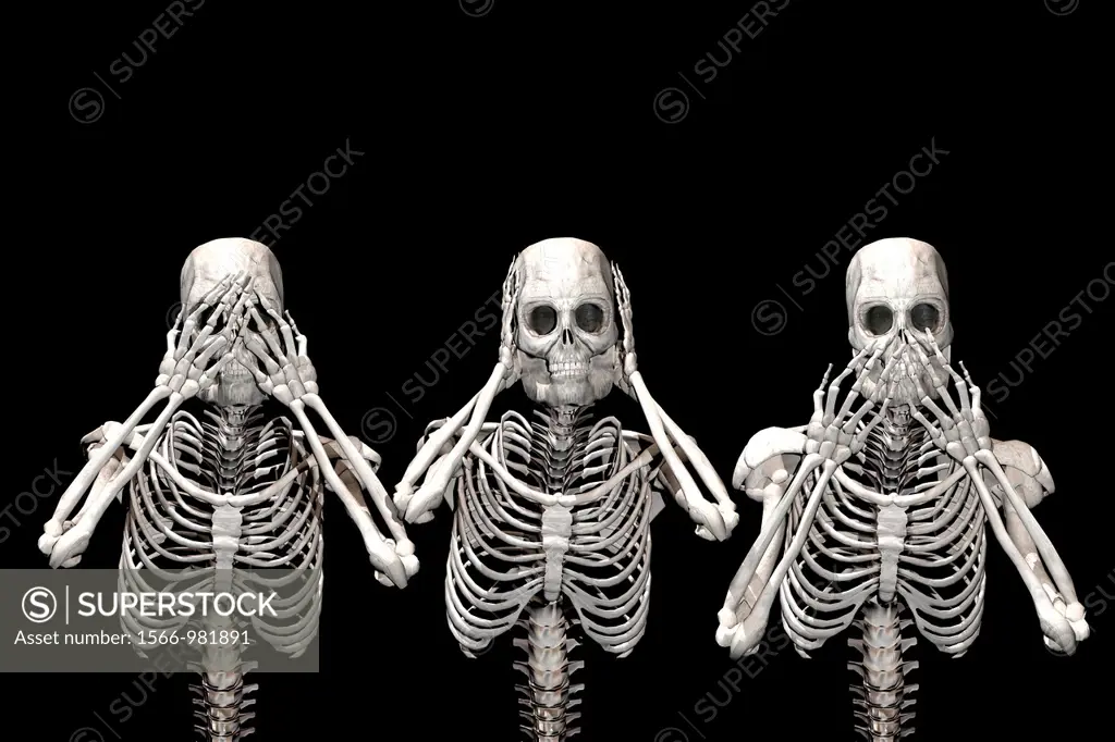 A trio of skeletons see no evil, hear no evil, speak no evil