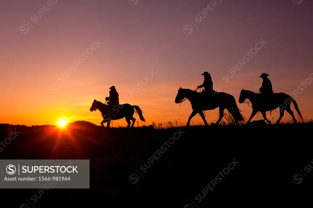 Three Cowboys on Horses at Sunrise