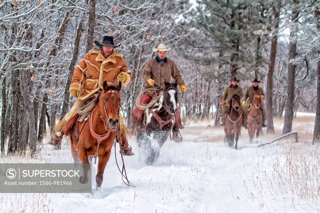 Four cowboys riding in the snow