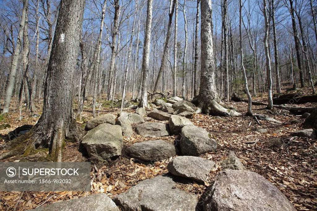 Rock steps along the Appalachian Trail Liberty Spring Trail in the White Mountains, New Hampshire USA  Trail Maintenance handbook guidelines state the...