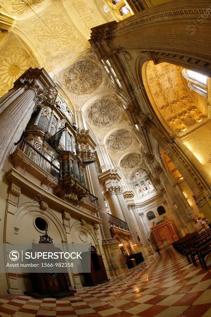 Interior of the Cathedral, magnificent views and towering ceilings  Malaga Cathedral  Malaga, Andalusia, Spain