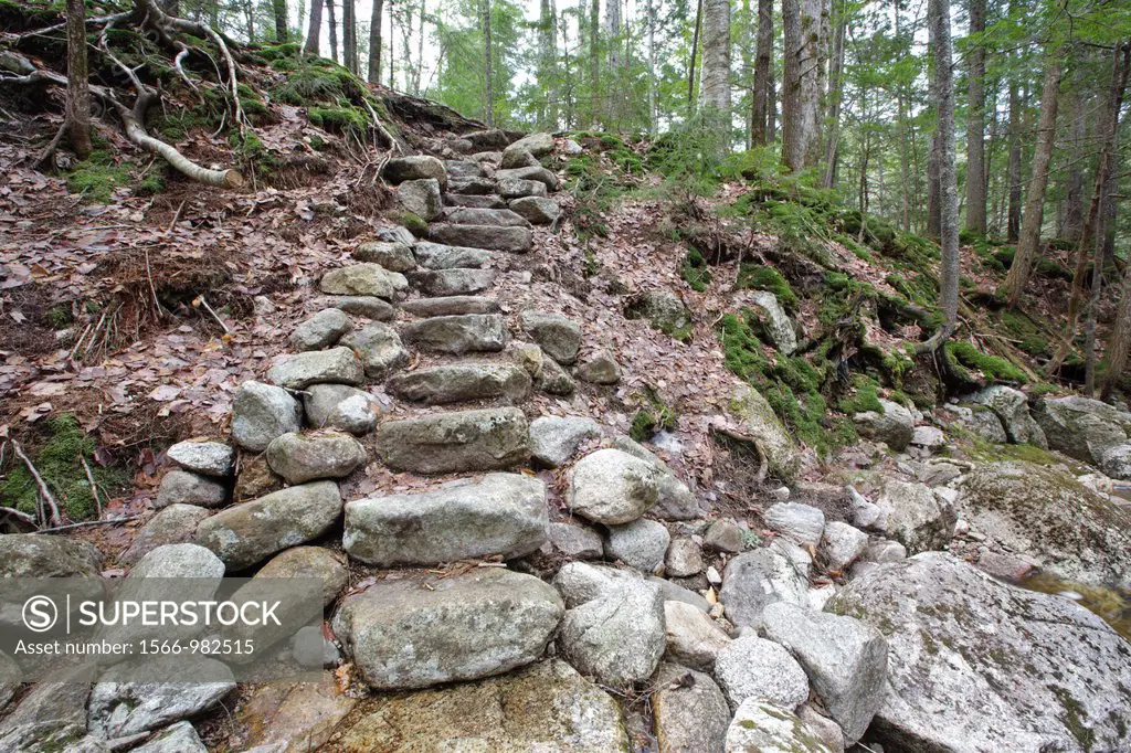 Trail Stewardship - Stone steps along Fletcher Cascades Trail during the spring months in Waterville Valley, New Hampshire USA  Trail maintenance guid...
