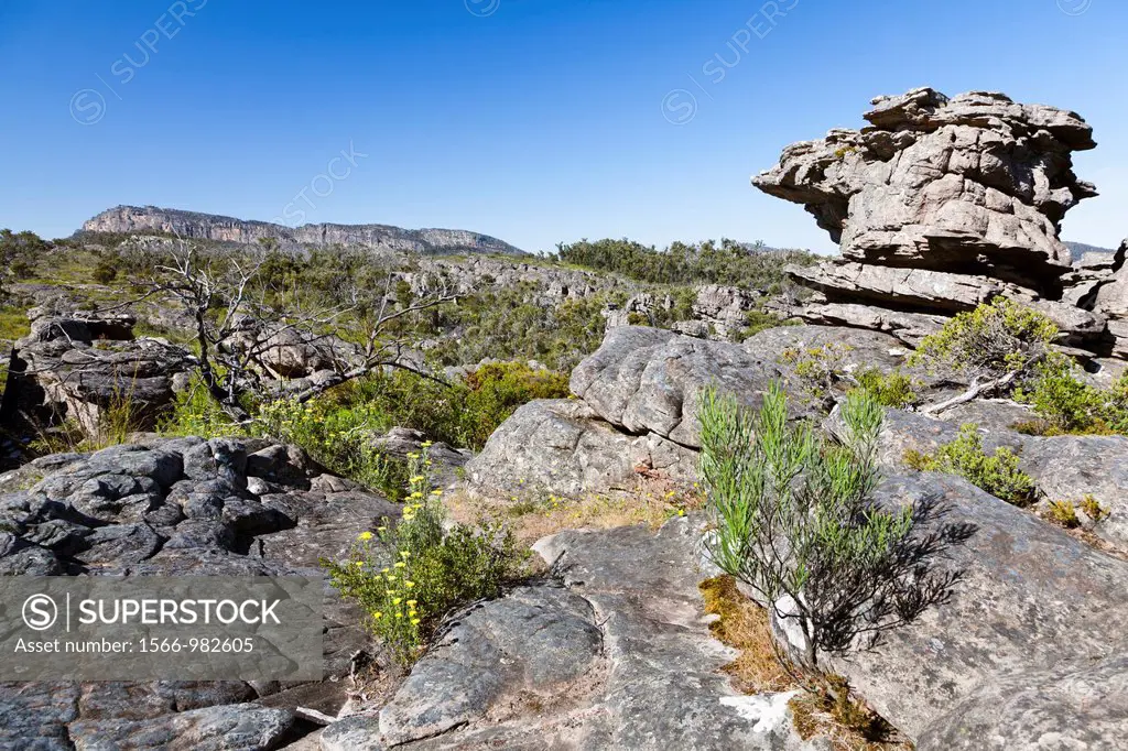 Landscape in the Grampians National Park, Australia, the Wonderland Range near The Pinnacles The Grampians als called Gariwerd, are a very popular des...