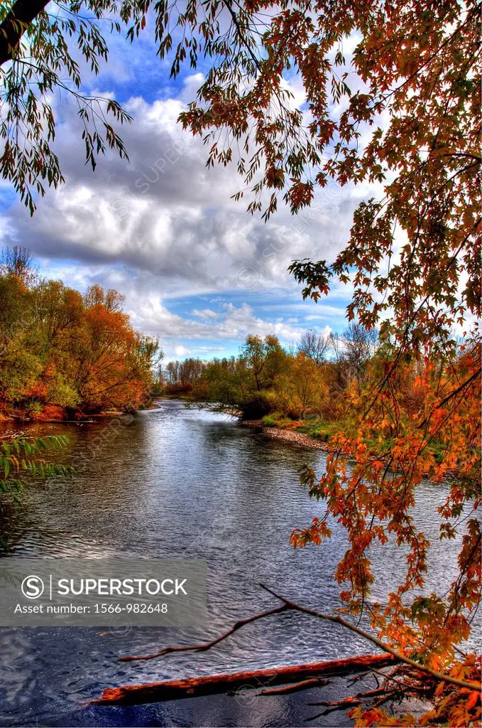 USA, Idaho, Boise, Boise River in Fall