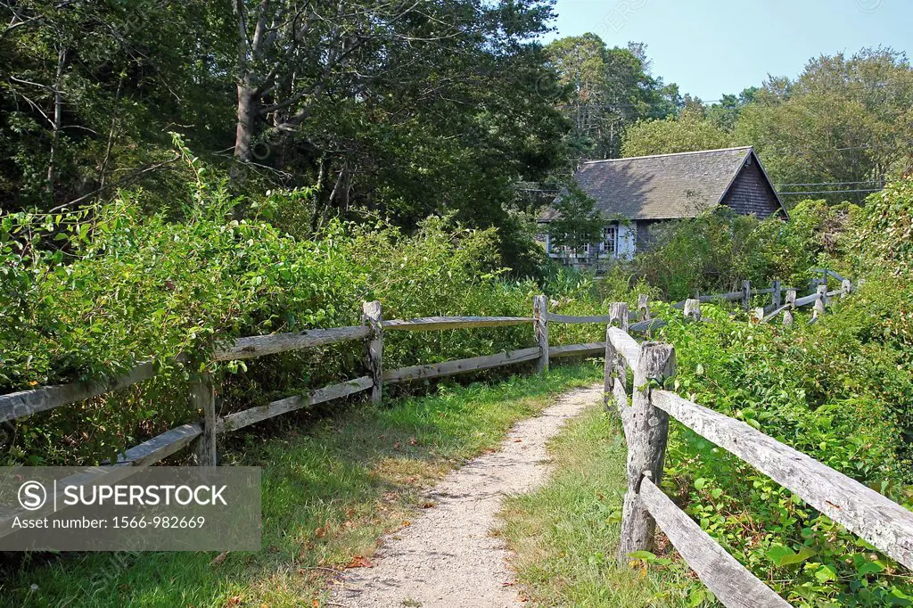 Path behind Stony Brook Grist Mill and Museum, Brewster, Cape Cod, Massachusetts, United States
