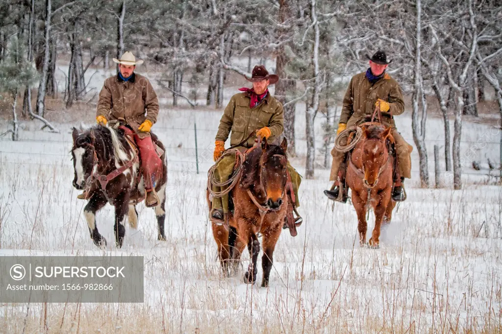Three cowboys riding horses in the snow