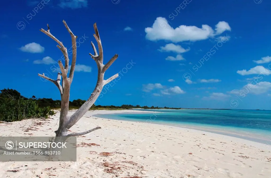 The Caribs, Turks ans Caicos, Iguana island, beach