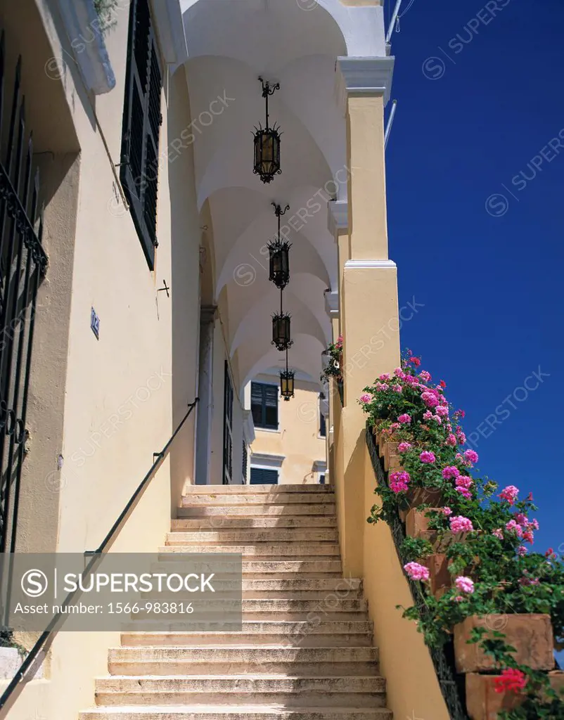 stairs, staircase, stairway, banister, baluster, handrail, flower boxes, geraniums, Greece, Ionian Islands, Corfu, city