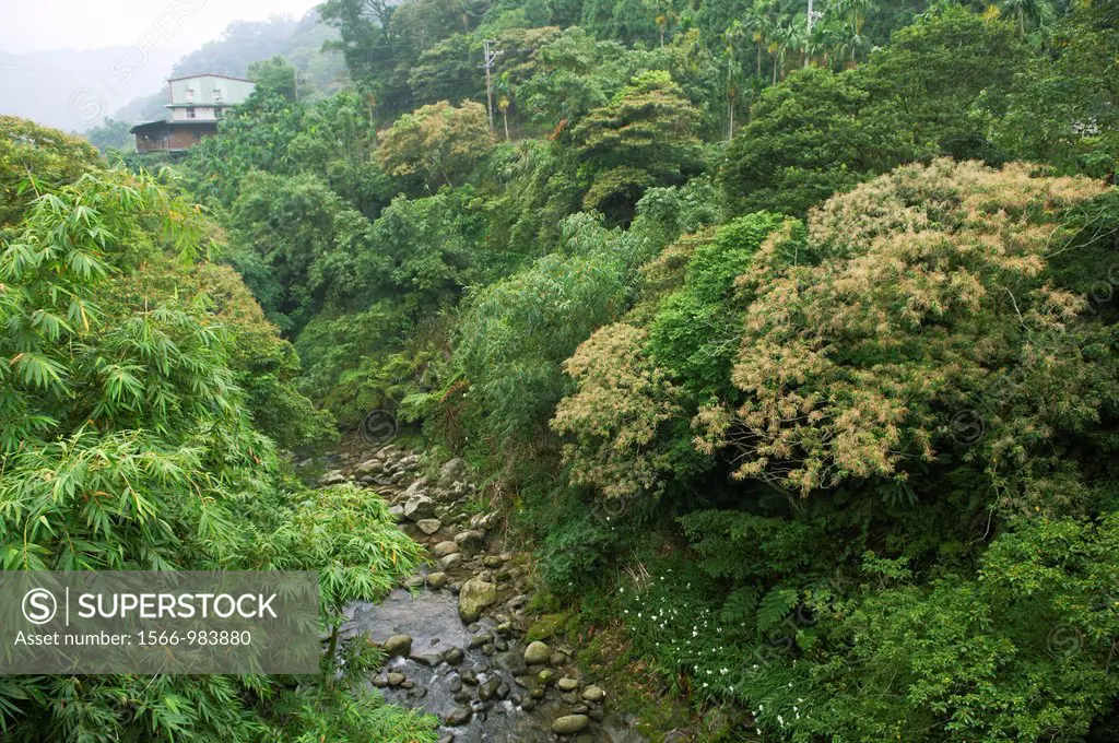 A stoney creek in Taiwan´s countryside