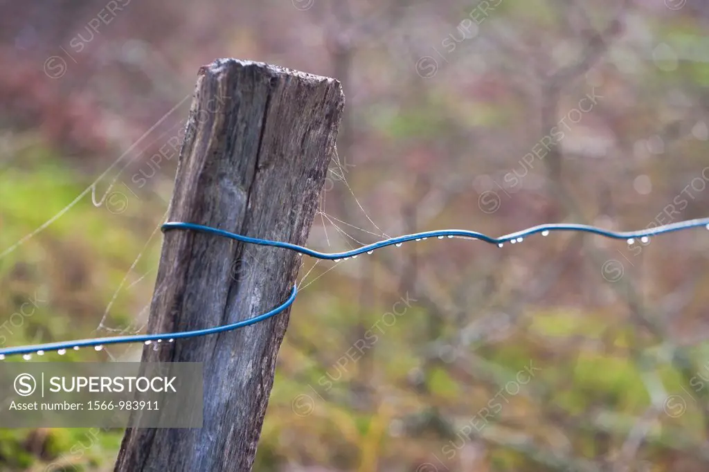 Close up of a wire fence with fence post