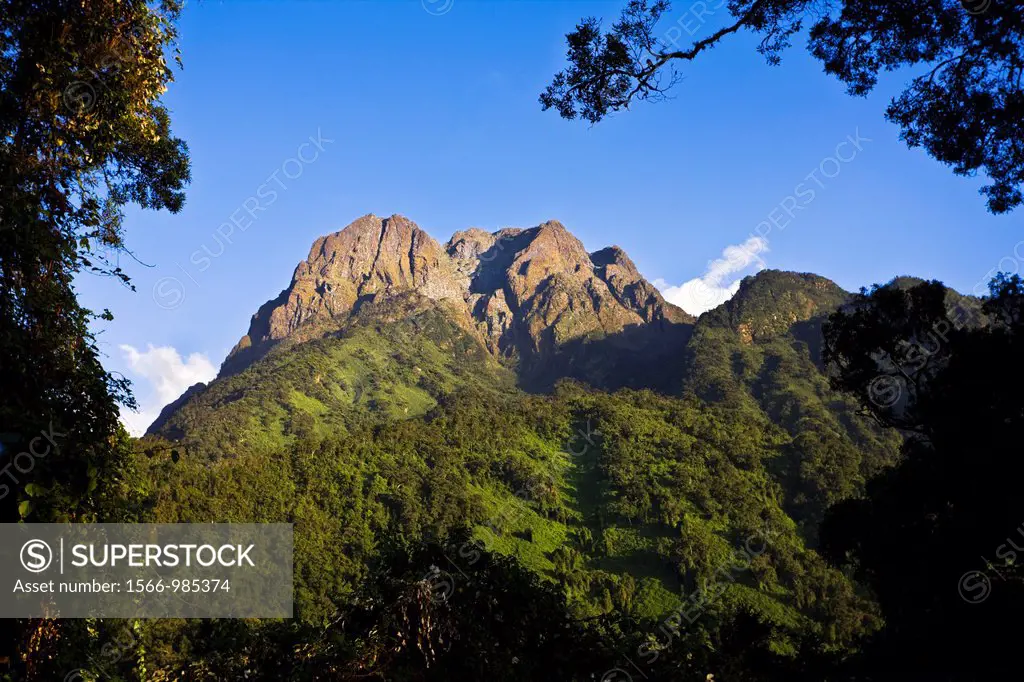 The Portal Peaks in the Rwenzori, Uganda The Rwenzori Mountain Range is a National Park and listed as Unesco Heritage site due to its unique high elev...