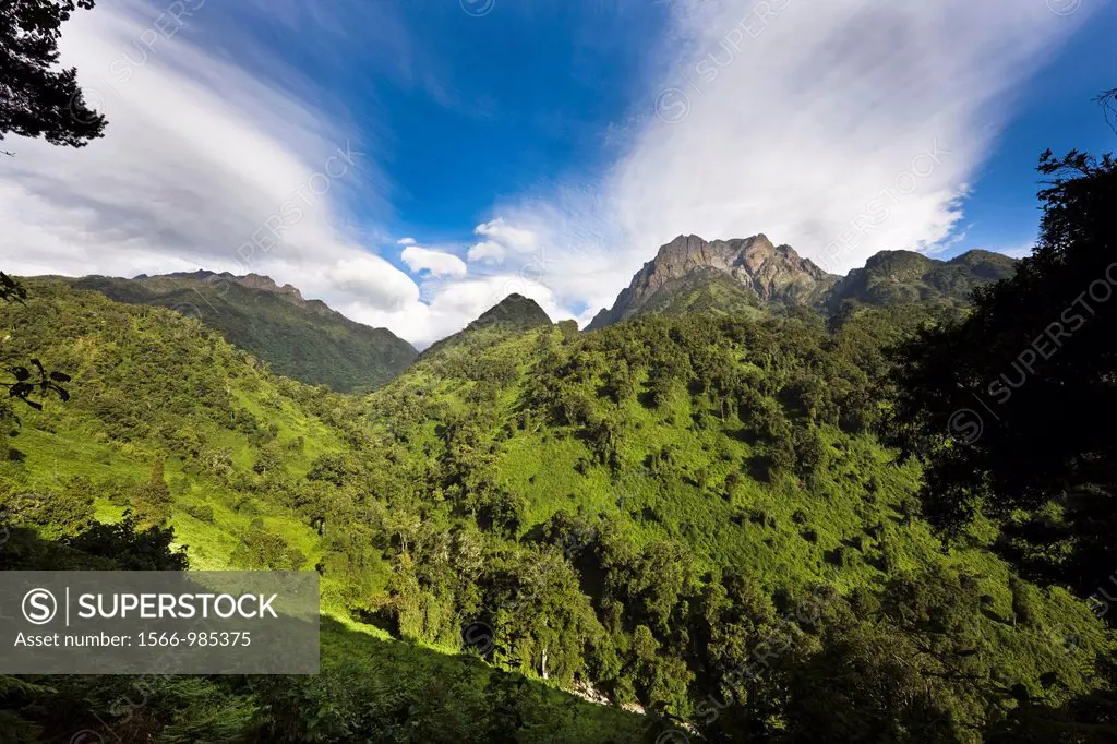 The Portal Peaks in the Rwenzori, with Bujuku Valley, Uganda The Rwenzori Mountain Range is a National Park and listed as Unesco Heritage site due to ...