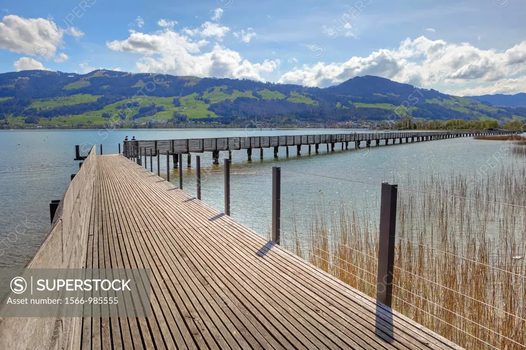 Wooden bridge Rapperswil-Hurden, Upper Lake, St  Gallen, Switzerland