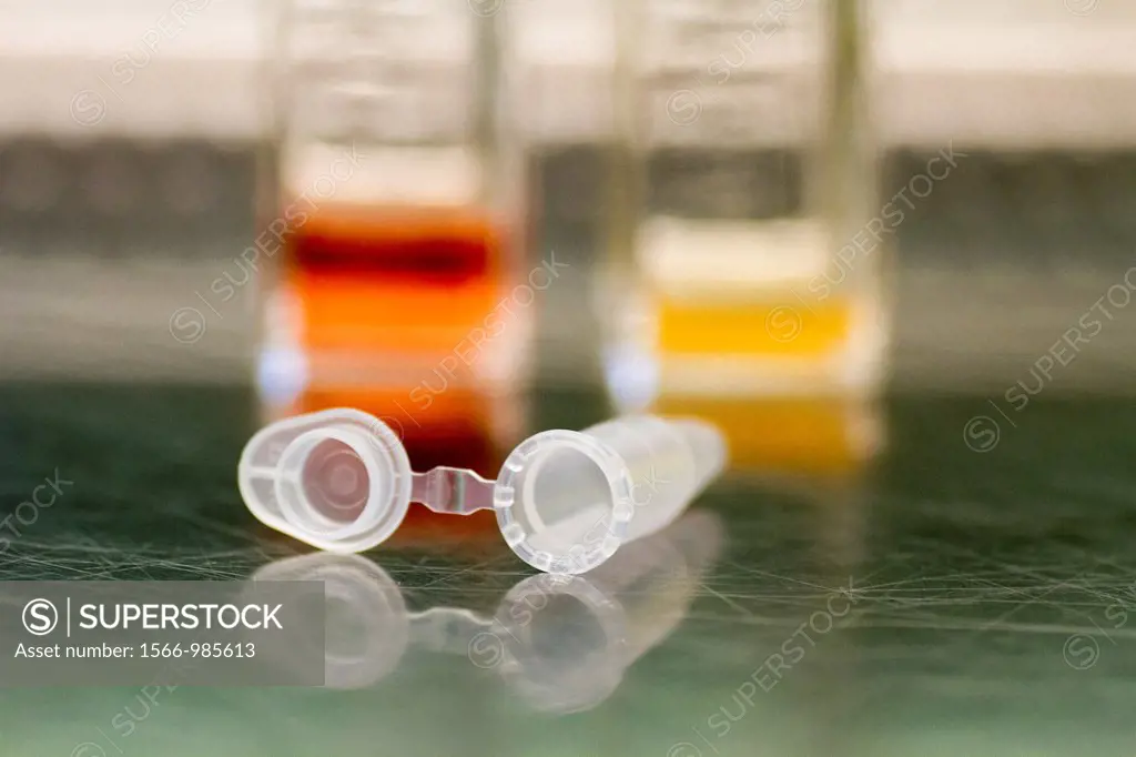 Test tube in laboratory.